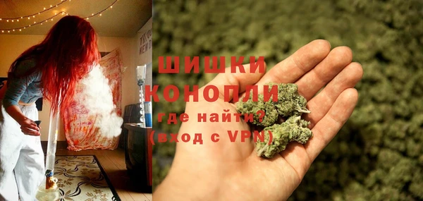 винт Карпинск