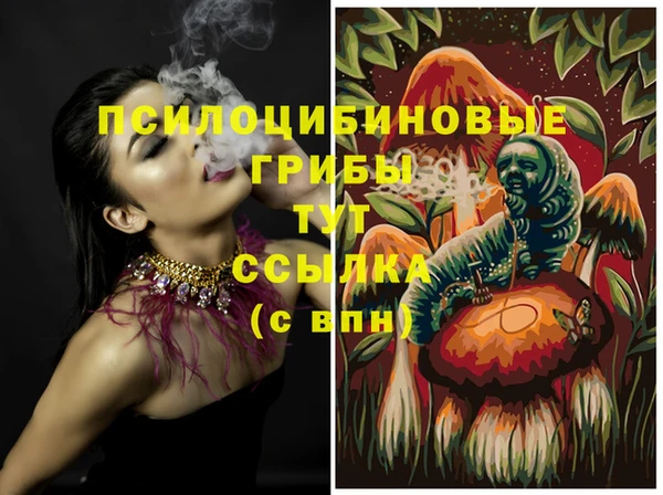 спайс Карталы