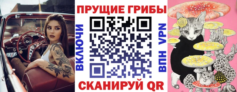 Купить  Вяземский  Псилоцибиновые грибы Cubensis 